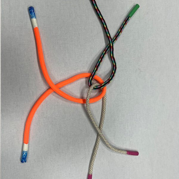Shoelace